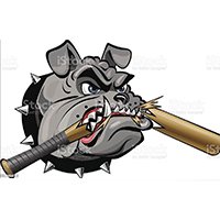 BullDogs