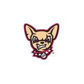 El Paso Chihuahuas