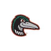 Great Lakes Loons