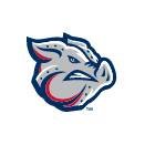 Lehigh Valley Iron Pigs