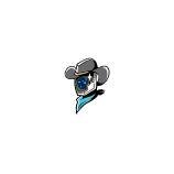 Sugar Land Space Cowboys