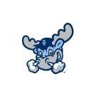 Wilmington Blue Rocks