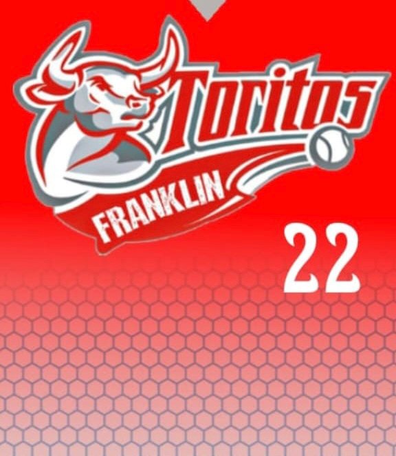 Los Toritos De Franklin